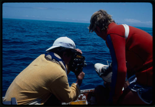 Testing the pressure of a shark bite while experimenting with the efficacy of the chainmail suit (mesh suit). The shark was then released. 