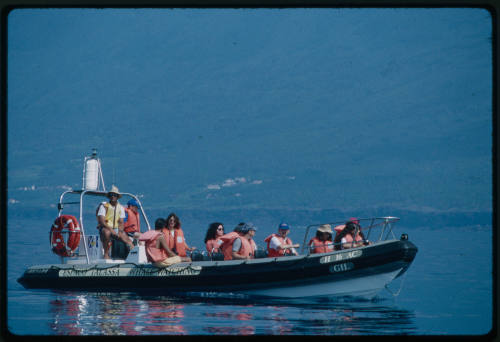 A whale watching boat