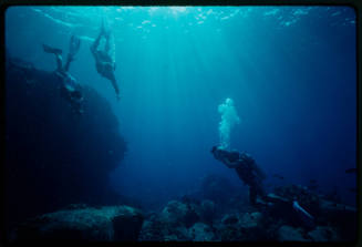 Diver filming two people underwater