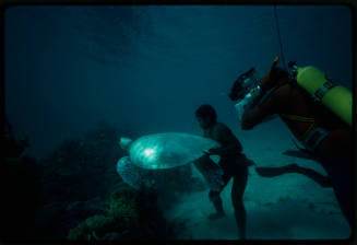Underwater filming of person and turtle