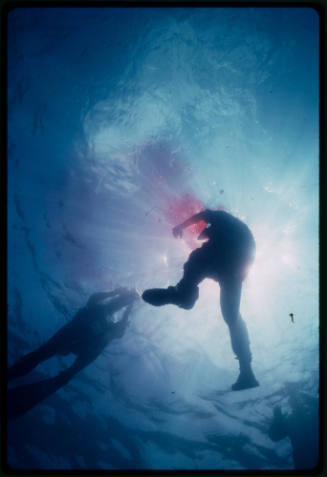 Underwater filming of bleeding person