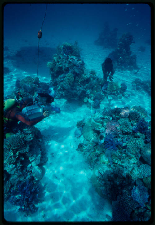 Underwater filming of person amongst corals