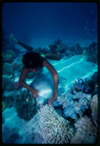 Person and turtle underwater amongst corals