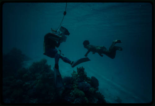 Filming of a person swimming over a coral reef