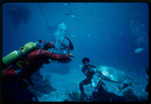 Diver filming a boy interacting with a sea turtle underwater