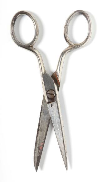 Pair of stainless steel scissors