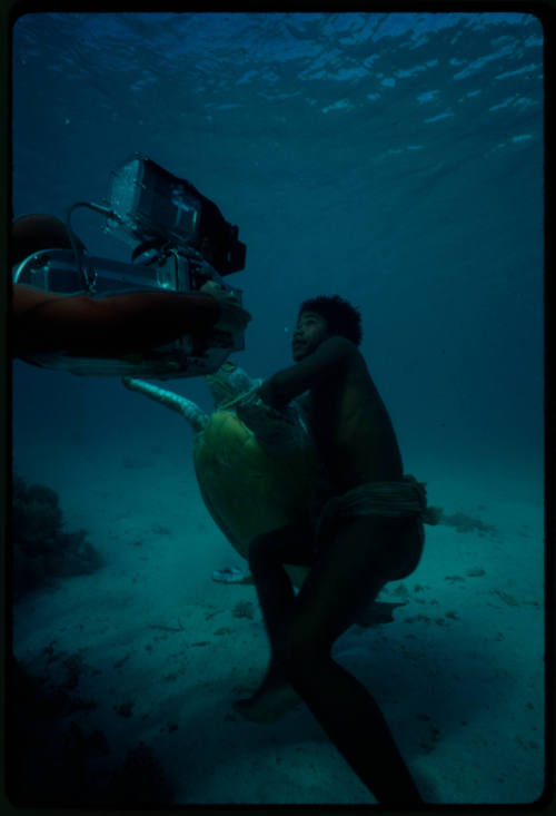 Scuba diver swimming while holding a sea turtle