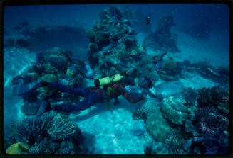 Diver filming a boy with a sea turtle