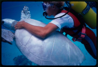 Diver swimming with a white turtle