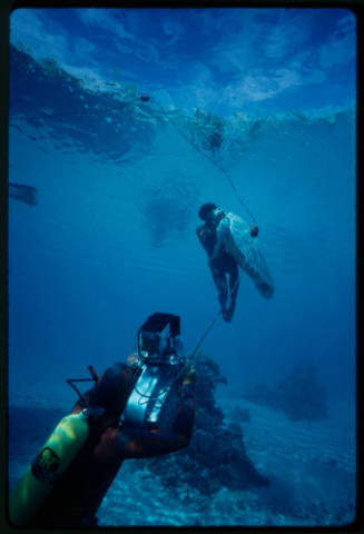 Diver filming a boy swimming with a turtle