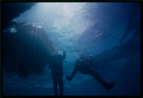 Silhouette of two people underwater