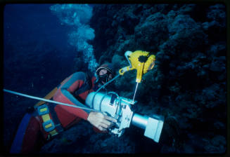 Diver with an underwater camera rig