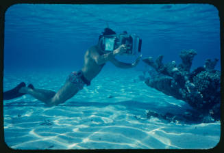 Diver using an underwater camera to film coral