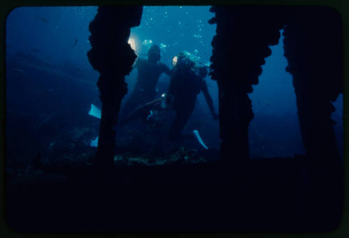 Two divers with underwater cameras