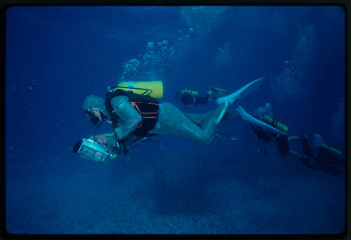 Four divers swimming together carrying equipment