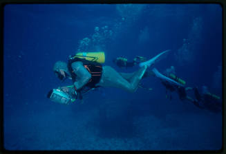 Four divers swimming together carrying equipment