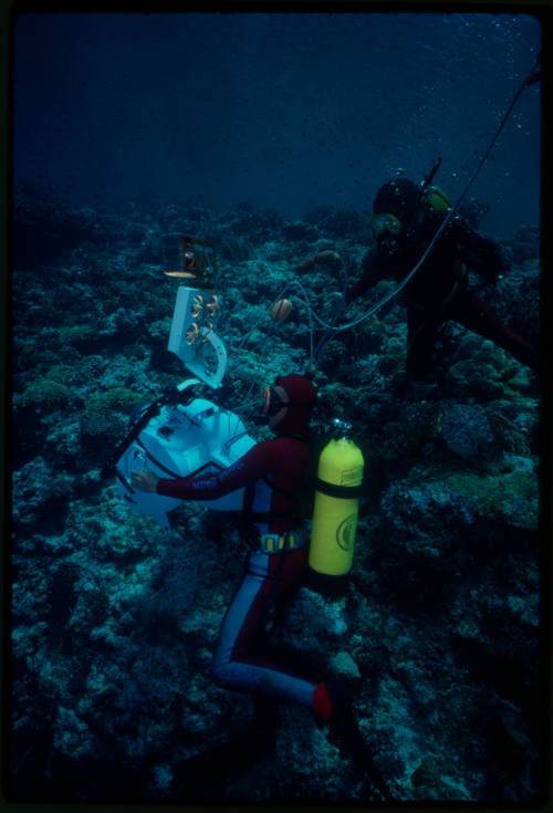 Ron Taylor filming around coral reef with an IMAX camera