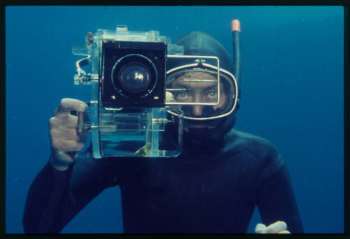 Portrait shot of Ron Taylor underwater with his camera