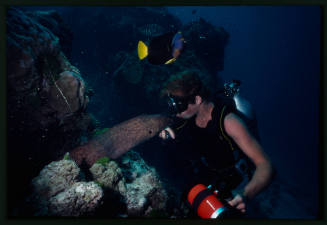 Diver interacting with a moray eel while holding an underwater camera