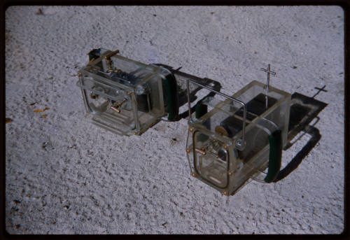 Two cameras in their acrylic housings placed on the sand