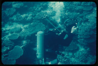 Forbes Carlile filming a coral reef with an underwater camera