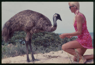 Valerie Taylor kneeling down next to an emu