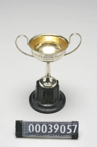 Trophy in the shape of cup with handles on either side
