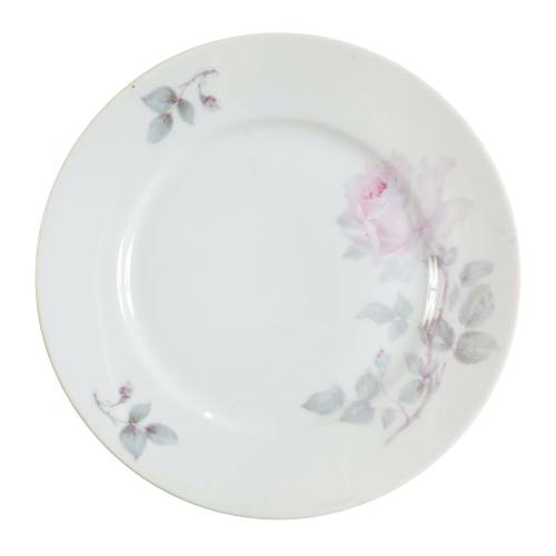 Dinner plate