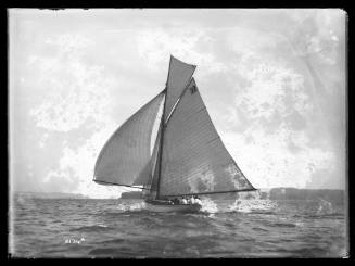 Sloop displaying the number '33' on the mainsail, Sydney Harbour