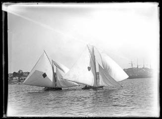 14-footers on Sydney Harbour, inscribed 294