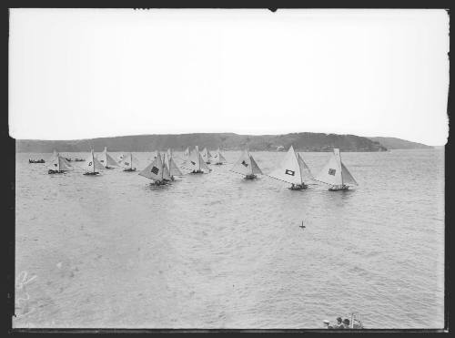 18-footer fleet on Sydney Harbour, inscribed 951