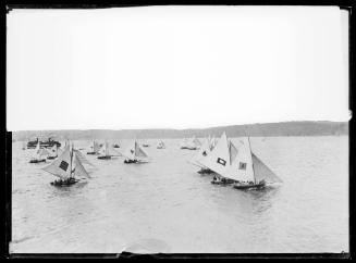 18-footers on Sydney Harbour, inscribed 956