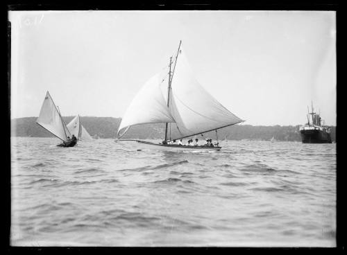 Sloops on Sydney Harbour, inscribed 1101