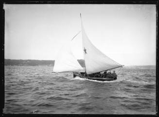 Sloop on Sydney Harbour, INSC 1285