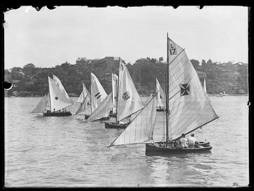 Restricted 12-foot skiffs up the Lane Cove River.