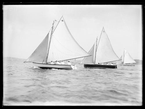 Sloops on Sydney Harbour, inscribed 1100