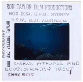 Chris Atkins diving with Kathy Trout during filming of "The Blue Lagoon"