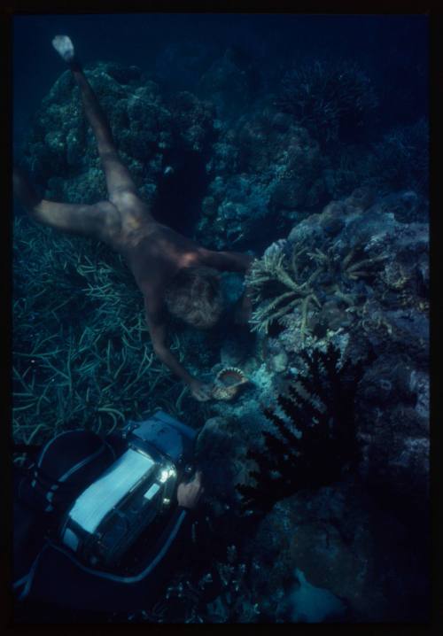 Ron Taylor filming Chris Atkins for "The Blue Lagoon"