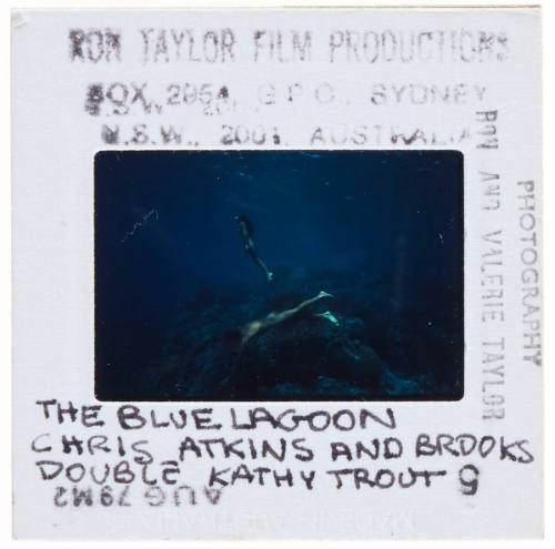 Chris Atkins and Kathy Troutt diving during filming of "The Blue Lagoon"