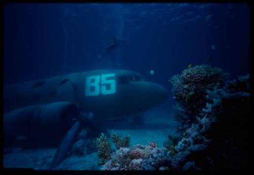 Filming around submerged prop plane for "Sky Pirates"