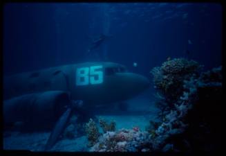 Filming around submerged prop plane for "Sky Pirates"