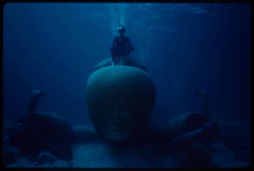 Valerie Taylor sitting atop a submerged prop plane from the filming of "Sky Pirates"