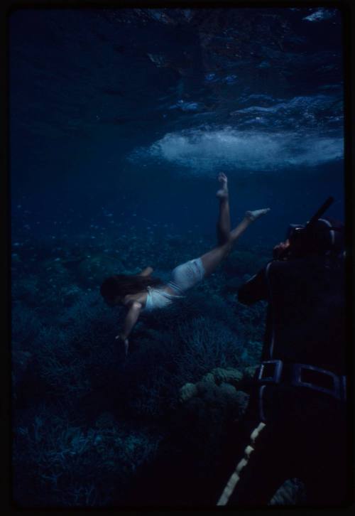 Ron Taylor filming Kathy Troutt for "The Blue Lagoon" 