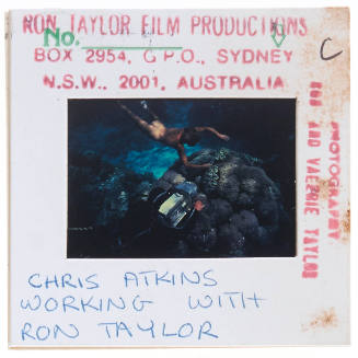 Ron Taylor filming Chris Atkins for "The Blue Lagoon"