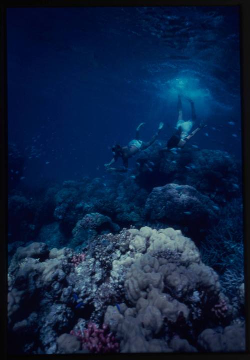 Filming from Blue Lagoon movies