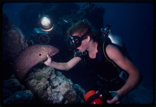 Diver holding a moray eel