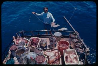 Ron Taylor on the stern of a boat preparing baits for great white sharks 