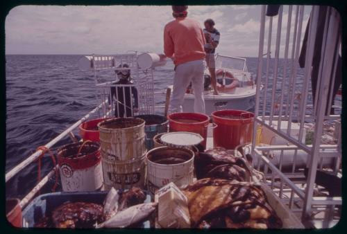 Bait on the back of a boat during the filming of "Jaws"