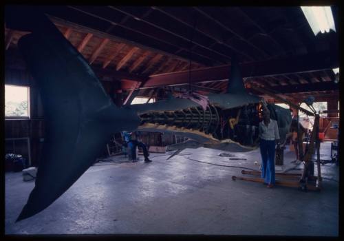 Valerie Taylor standing next to the large scale great white shark model used in "Jaws"