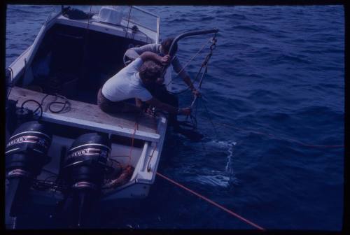 Crew lowering shark cage into water during filming of "Jaws"